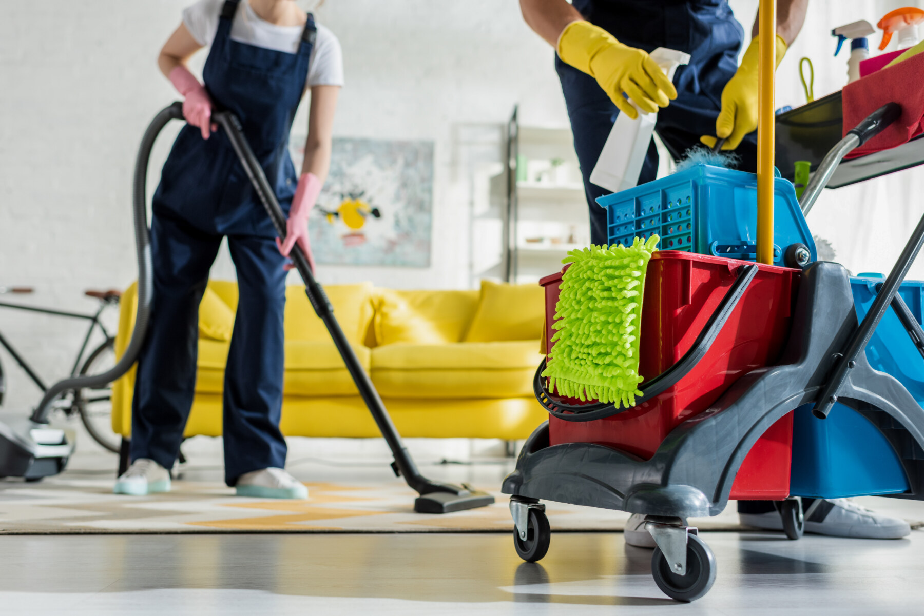 Professional Cleaning